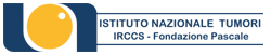 Istituto Nazionale Tumori IRCCS «Fondazione Pascale»